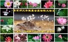 ֹ,󷨵ӹ編ִʦ𻪵(28)