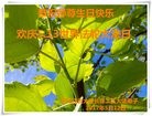 ֹ,󷨵ӹ編ִʦ𻪵(22)