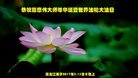 ֹ,󷨵ӹ編ִʦ𻪵(28)