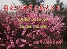 ֹ,󷨵ӹ編ִʦ𻪵(24)