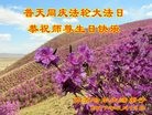 ֹ,󷨵ӹ編ִʦ𻪵(19)