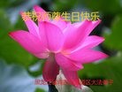 ֹ,󷨵ӹ編ִʦ𻪵(24)