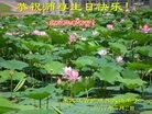 ֹ,󷨵ӹ編ִʦ𻪵(28)