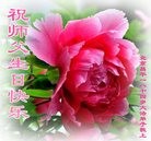 ���ֹ�,�����󷨵��ӹ������編�ִ�����ʦ�𻪵�(18��)