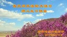 ֹ,󷨵ӹ編ִʦ𻪵(23)