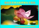 ֹ,󷨵ӹ編ִʦ𻪵(20)