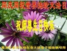 ֹ,󷨵ӹ編ִʦ𻪵(23)
