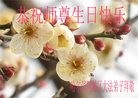 ֹ,󷨵ӹ編ִʦ𻪵(20)