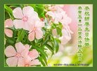 ֹ,󷨵ӹ編ִʦ𻪵(20)