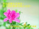 ֹ,󷨵ӹ編ִʦ𻪵(28)