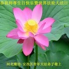 ���ֹ�,�ȷ��󷨵��ӹ������編�ִ�����ʦ�𻪵�(28��)