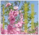 ֹ,󷨵ӹ編ִʦ𻪵(24)