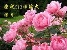ֹ,󷨵ӹ編ִʦ𻪵(26)