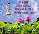 ֹ,󷨵ӹ編ִʦ𻪵(20)