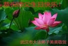 ֹ,󷨵ӹ編ִʦ𻪵(22)