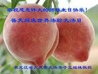 ֹ,󷨵ӹ編ִʦ𻪵(20)