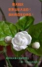 ֹ,󷨵ӹ編ִʦ𻪵(20)
