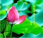ֹ,󷨵ӹ編ִʦ𻪵(20)