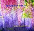 ֹ,󷨵ӹ編ִʦ𻪵(20)