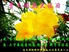 ֹ,ľ˹󷨵ӹ編ִʦ𻪵(21)