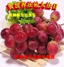 ���ֹ�,�����д󷨵��ӹ������編�ִ�����ʦ�𻪵�(19��)