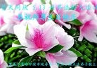 ֹ,󷨵ӹ編ִʦ𻪵(20)