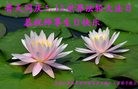 ֹ,󷨵ӹ編ִʦ𻪵(20)