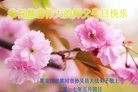 ֹ,󷨵ӹ編ִʦ𻪵(23)