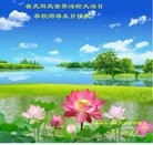 ���ֹ�,�ػʵ��󷨵��ӹ������編�ִ�����ʦ�𻪵�(22��)