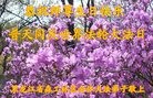 ֹ,󷨵ӹ編ִʦ𻪵(23)