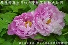ֹ,󷨵ӹ編ִʦ𻪵(21)