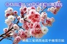 ֹ,󷨵ӹ編ִʦ𻪵(20)