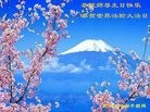 ֹ,人󷨵ӹ編ִʦ𻪵(29)