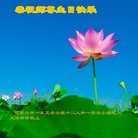 ���ֹ�,�żҿڴ󷨵��ӹ������編�ִ�����ʦ�𻪵�(25��)