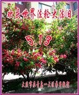 ֹ,󷨵ӹ編ִʦ𻪵(26)