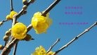 ֹ,人󷨵ӹ編ִʦ𻪵(29)