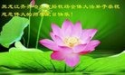 ֹ,󷨵ӹ編ִʦ𻪵(21)