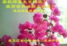 ֹ,󷨵ӹ編ִʦ𻪵(20)