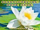 ֹ,󷨵ӹ編ִʦ𻪵(20)