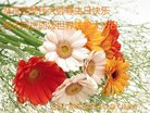 ֹ,󷨵ӹ編ִʦ𻪵(20)