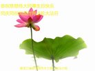 ֹ,󷨵ӹ編ִʦ𻪵(20)