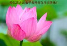 ֹ,󷨵ӹ編ִʦ𻪵(20)