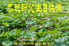 ֹ,󷨵ӹ編ִʦ𻪵(20)