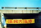 Published on 3/31/2005 		图片：潍坊、阜新大地上的真相标语和条幅