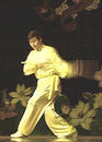 A Practitioner Performs Martial Art in the 'Wonderful Future' Concert Held in Boston in 2002