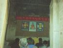 Cultivation Experience-sharing Conference in China in 2001
