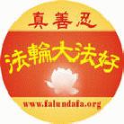 Pin Designs for Falun Gong Introduction