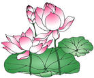 Art: lotus