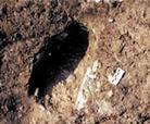 Published on 3/17/2003 Human footprints in Pleistocene volcanic ash.