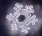 Published on 11/2/2004 photo of water Crystal.